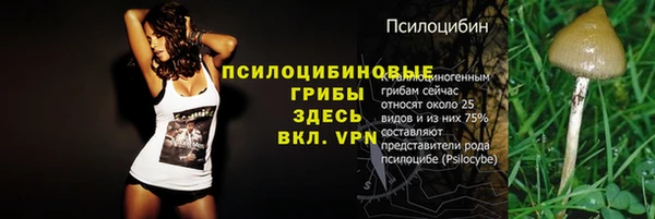 не бодяженный Верея