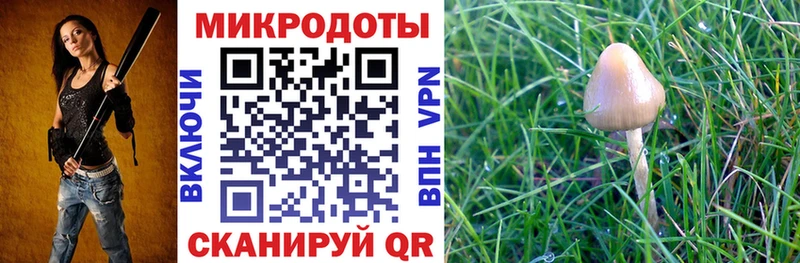 Псилоцибиновые грибы мухоморы  Купить где  Октябрьский 